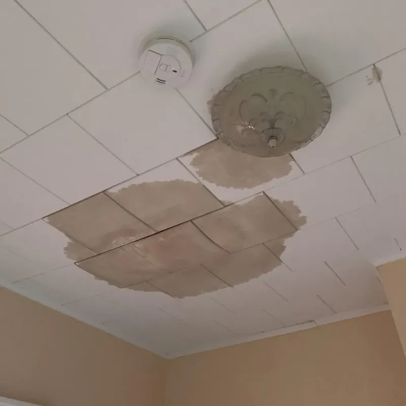 Ceiling Water Damage Repair in Tom Bean, TX