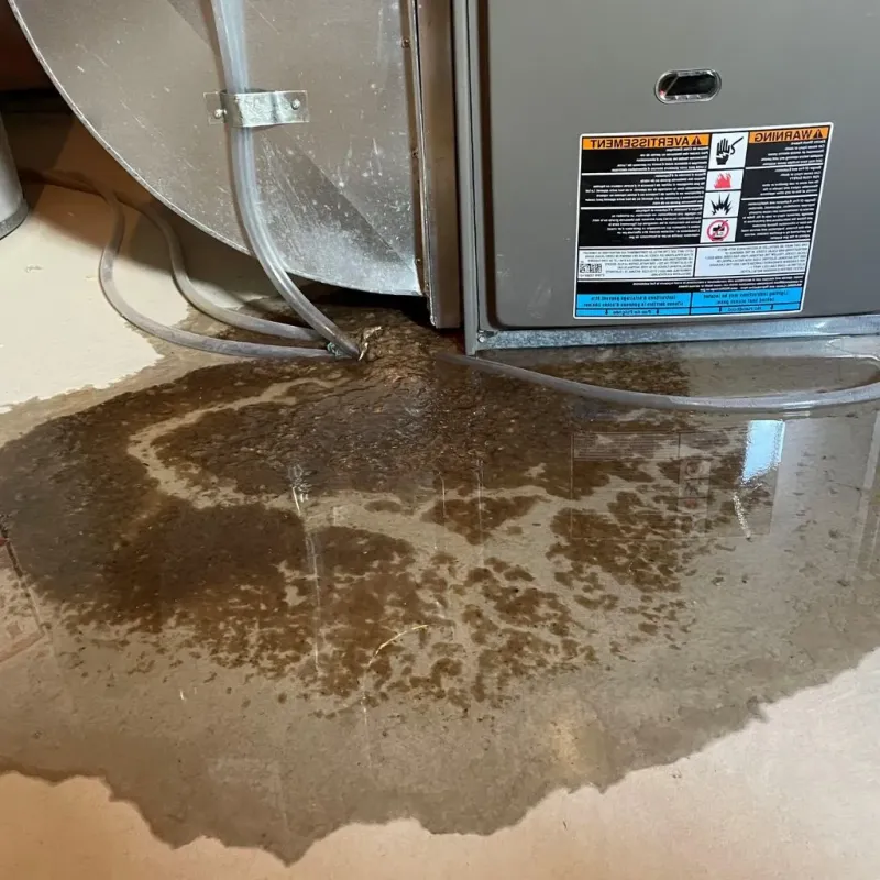 Pipe Burst and Leak Restoration in Tom Bean, TX